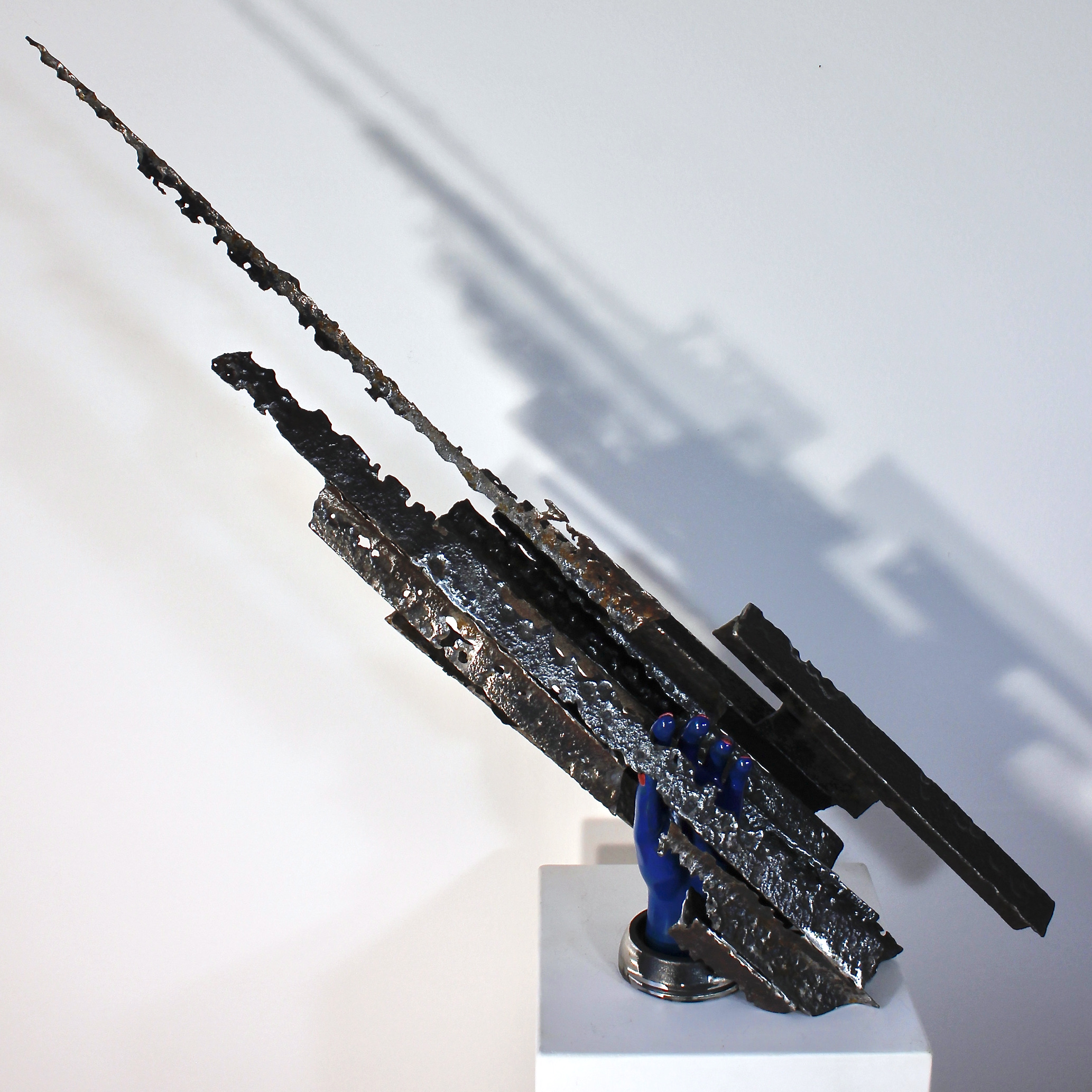 Boletus Quesairis, 2013